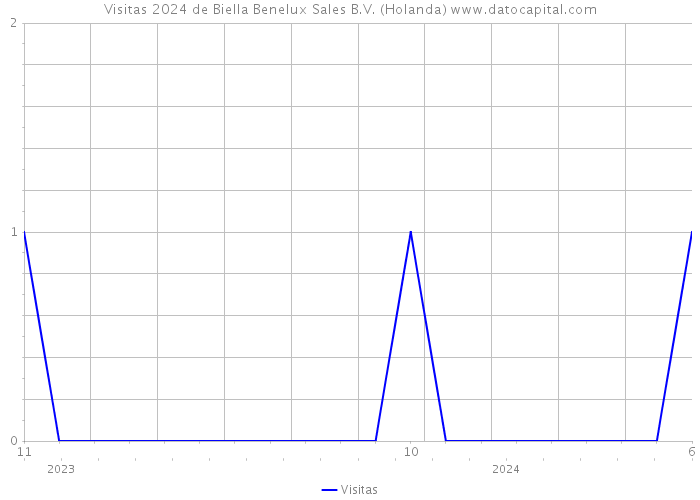 Visitas 2024 de Biella Benelux Sales B.V. (Holanda) 