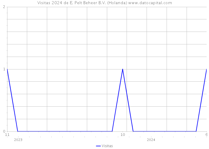 Visitas 2024 de E. Pelt Beheer B.V. (Holanda) 