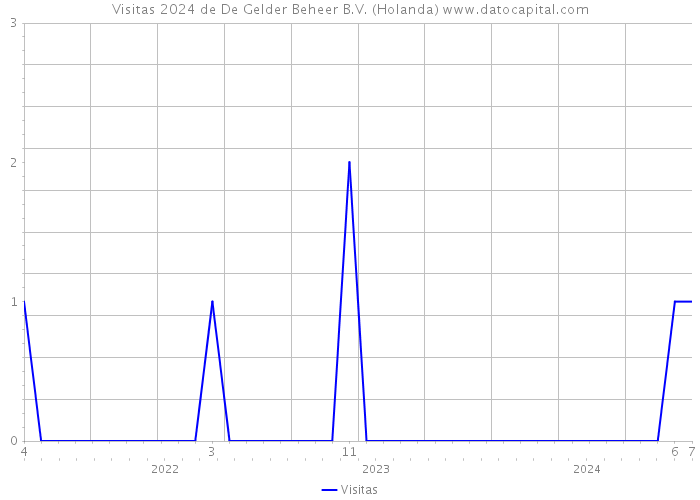 Visitas 2024 de De Gelder Beheer B.V. (Holanda) 