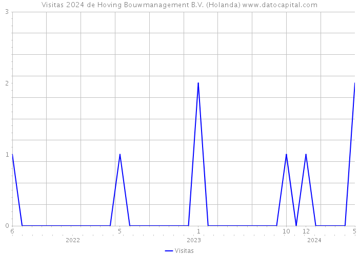 Visitas 2024 de Hoving Bouwmanagement B.V. (Holanda) 