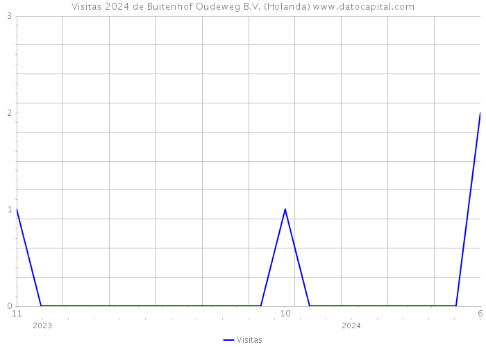 Visitas 2024 de Buitenhof Oudeweg B.V. (Holanda) 