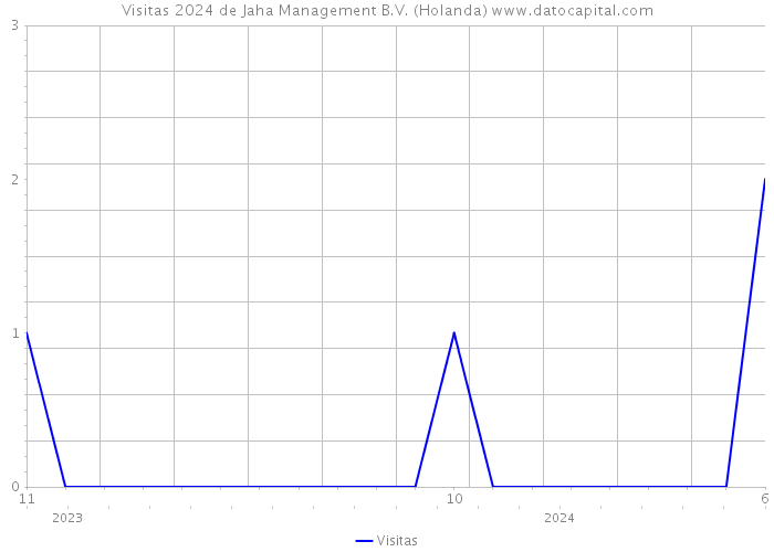 Visitas 2024 de Jaha Management B.V. (Holanda) 