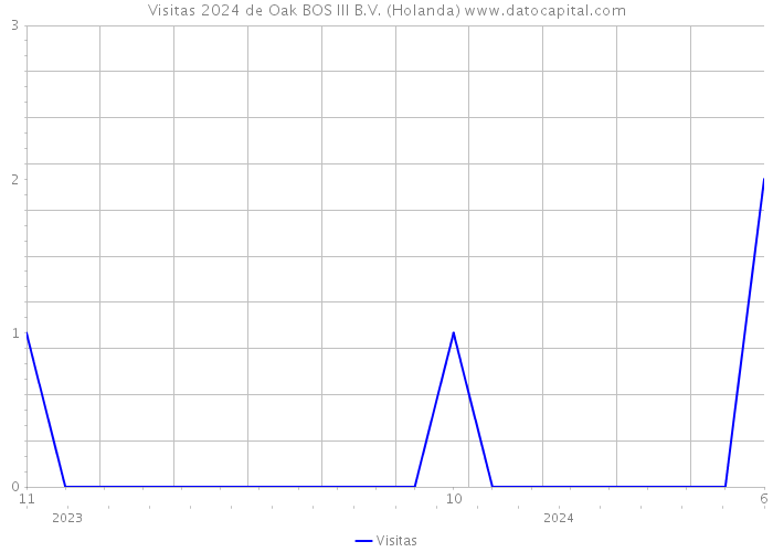 Visitas 2024 de Oak BOS III B.V. (Holanda) 