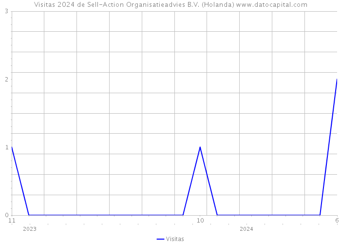 Visitas 2024 de Sell-Action Organisatieadvies B.V. (Holanda) 