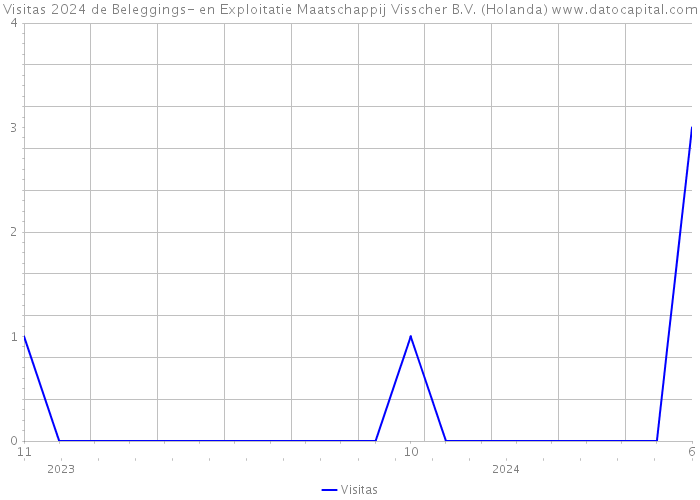 Visitas 2024 de Beleggings- en Exploitatie Maatschappij Visscher B.V. (Holanda) 