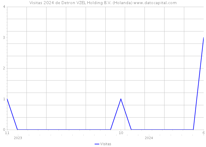 Visitas 2024 de Detron VZEL Holding B.V. (Holanda) 