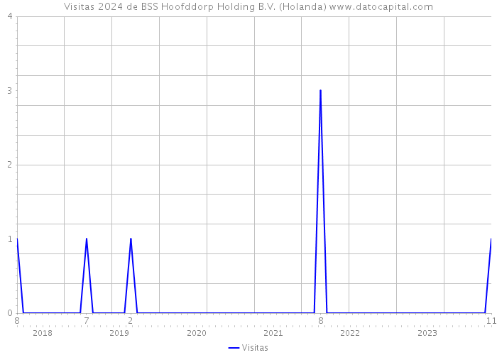 Visitas 2024 de BSS Hoofddorp Holding B.V. (Holanda) 