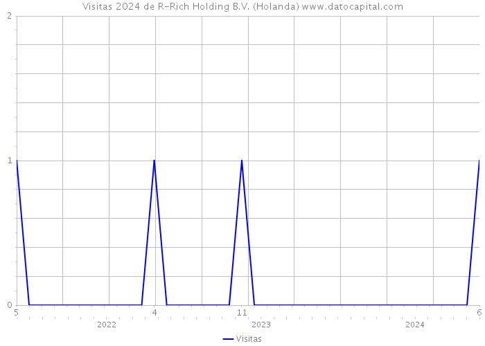 Visitas 2024 de R-Rich Holding B.V. (Holanda) 