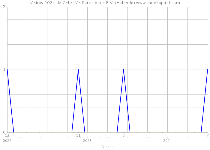 Visitas 2024 de Gebr. Vis Participatie B.V. (Holanda) 