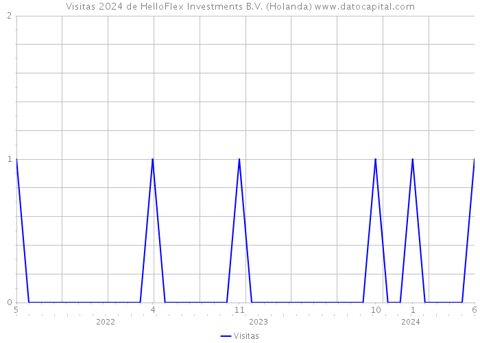 Visitas 2024 de HelloFlex Investments B.V. (Holanda) 