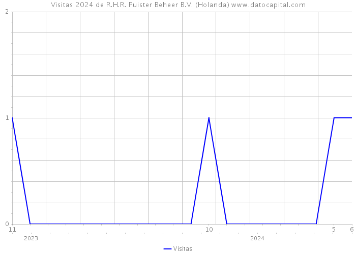 Visitas 2024 de R.H.R. Puister Beheer B.V. (Holanda) 