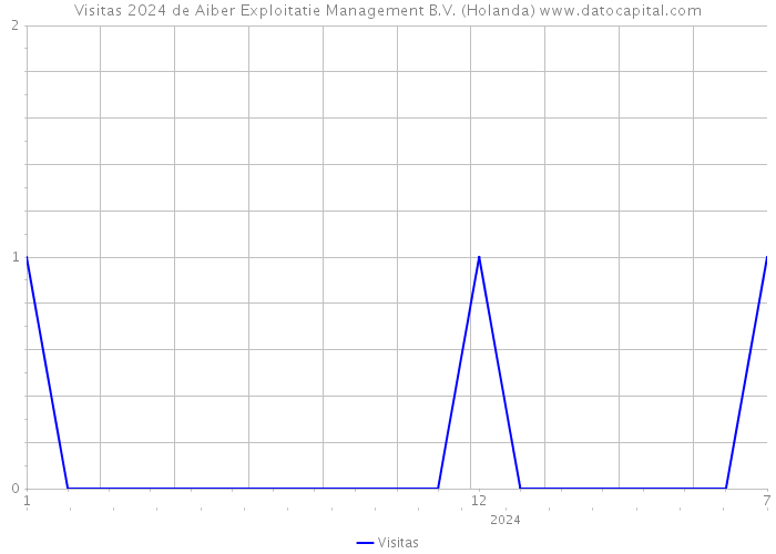 Visitas 2024 de Aiber Exploitatie Management B.V. (Holanda) 