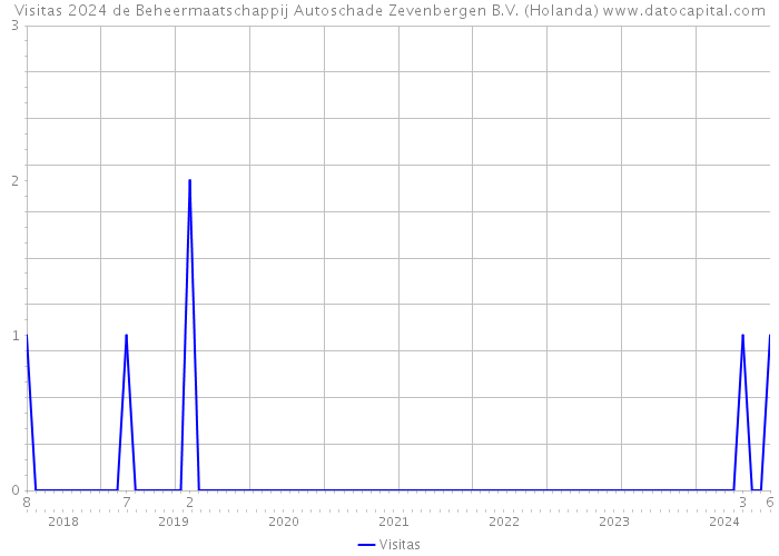 Visitas 2024 de Beheermaatschappij Autoschade Zevenbergen B.V. (Holanda) 