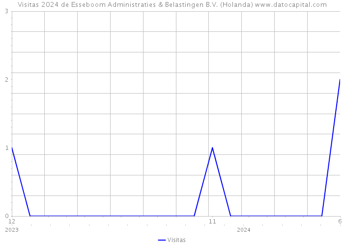 Visitas 2024 de Esseboom Administraties & Belastingen B.V. (Holanda) 
