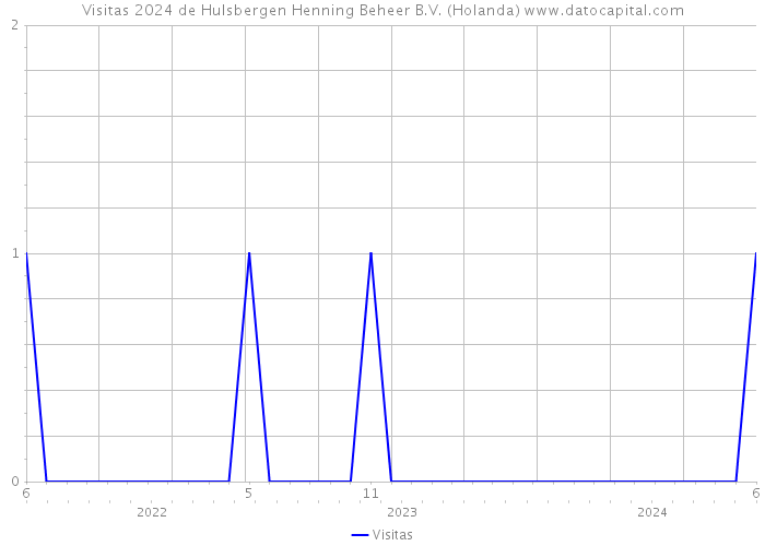 Visitas 2024 de Hulsbergen Henning Beheer B.V. (Holanda) 