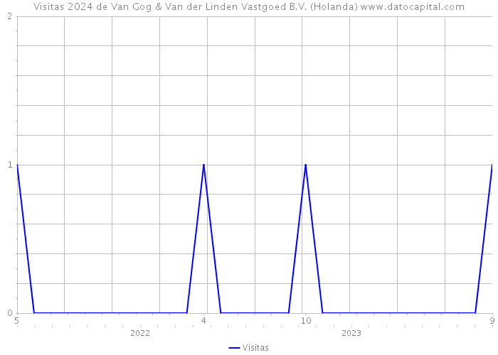 Visitas 2024 de Van Gog & Van der Linden Vastgoed B.V. (Holanda) 