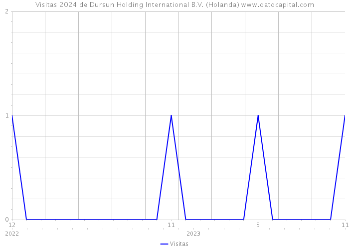 Visitas 2024 de Dursun Holding International B.V. (Holanda) 