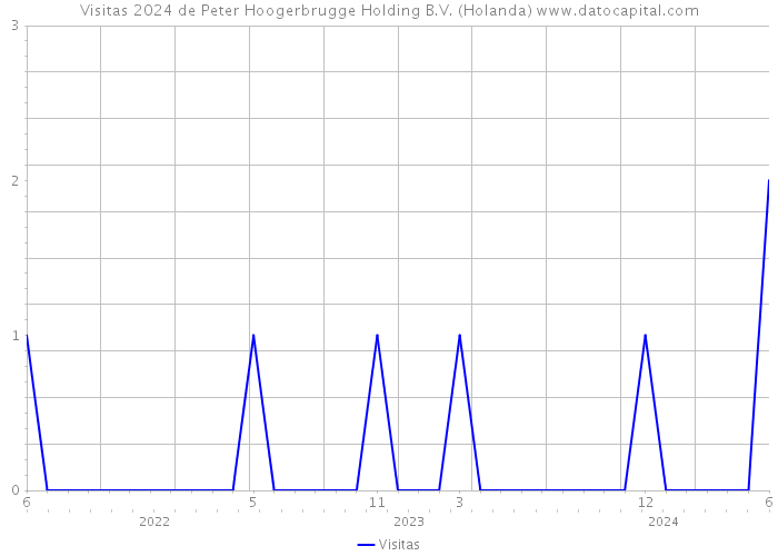Visitas 2024 de Peter Hoogerbrugge Holding B.V. (Holanda) 