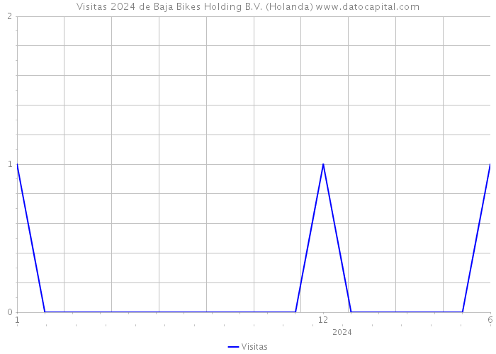 Visitas 2024 de Baja Bikes Holding B.V. (Holanda) 
