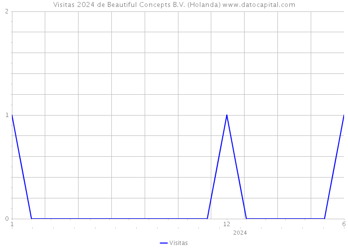 Visitas 2024 de Beautiful Concepts B.V. (Holanda) 