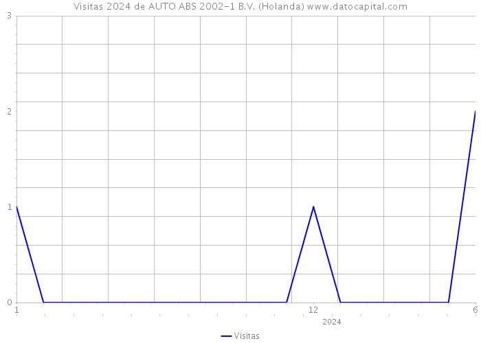 Visitas 2024 de AUTO ABS 2002-1 B.V. (Holanda) 