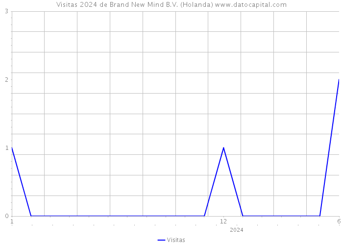 Visitas 2024 de Brand New Mind B.V. (Holanda) 