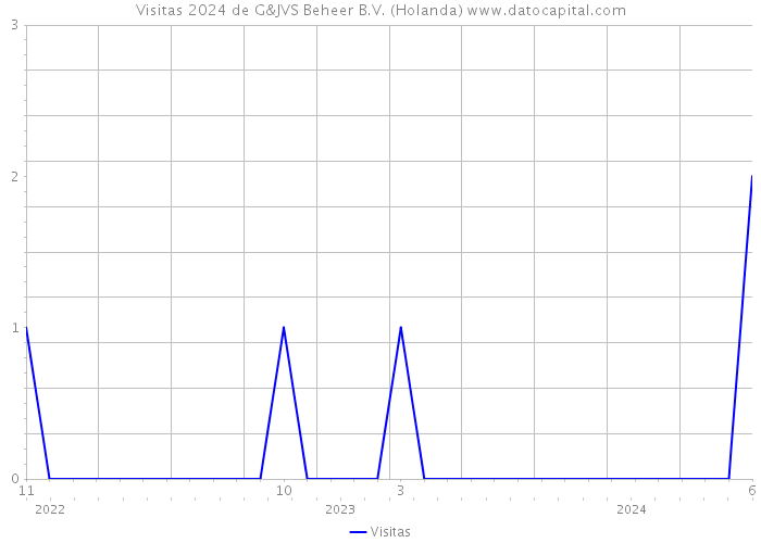 Visitas 2024 de G&JVS Beheer B.V. (Holanda) 