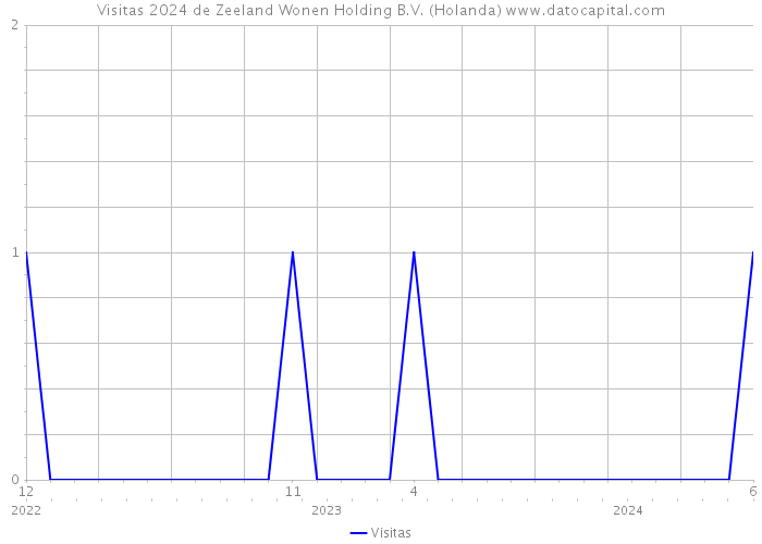 Visitas 2024 de Zeeland Wonen Holding B.V. (Holanda) 