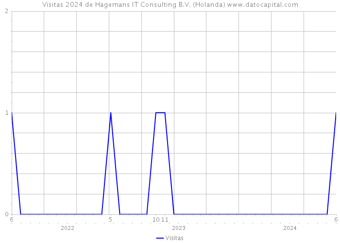 Visitas 2024 de Hagemans IT Consulting B.V. (Holanda) 