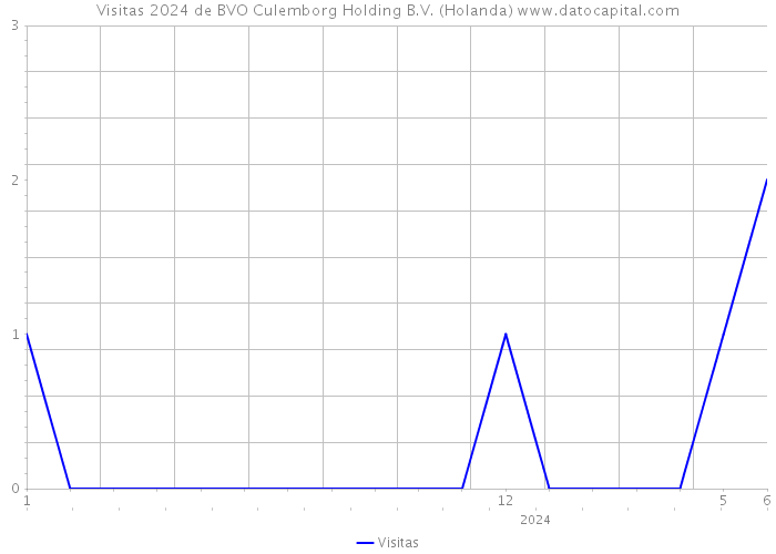 Visitas 2024 de BVO Culemborg Holding B.V. (Holanda) 