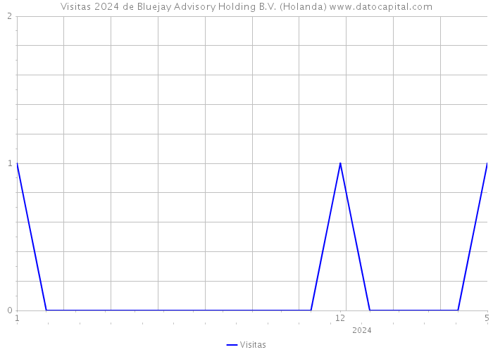 Visitas 2024 de Bluejay Advisory Holding B.V. (Holanda) 