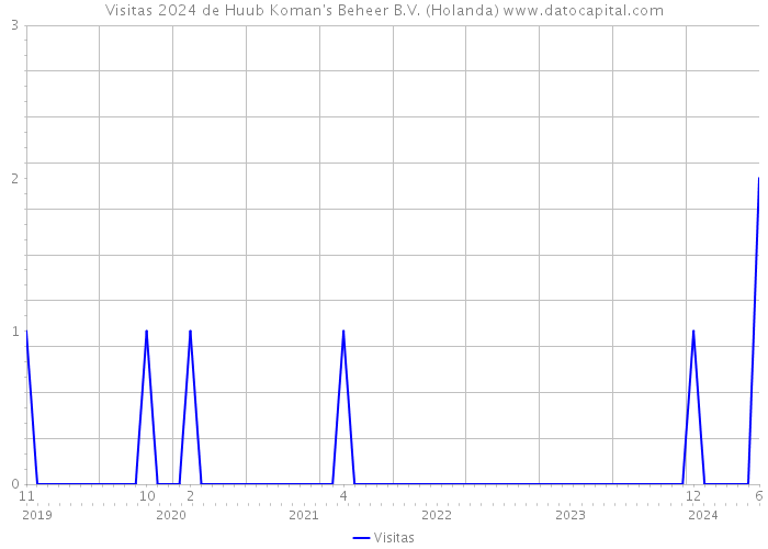 Visitas 2024 de Huub Koman's Beheer B.V. (Holanda) 