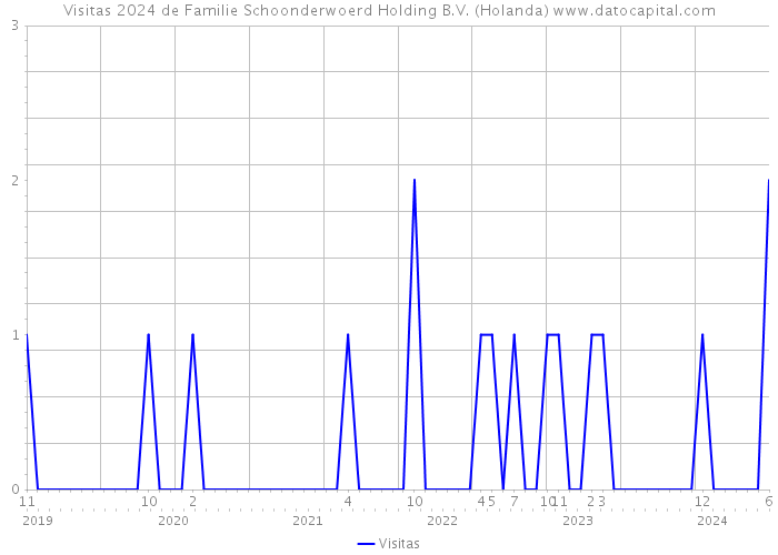 Visitas 2024 de Familie Schoonderwoerd Holding B.V. (Holanda) 