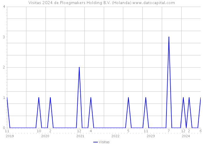 Visitas 2024 de Ploegmakers Holding B.V. (Holanda) 