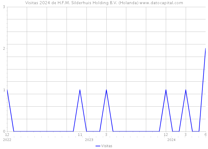 Visitas 2024 de H.F.M. Silderhuis Holding B.V. (Holanda) 