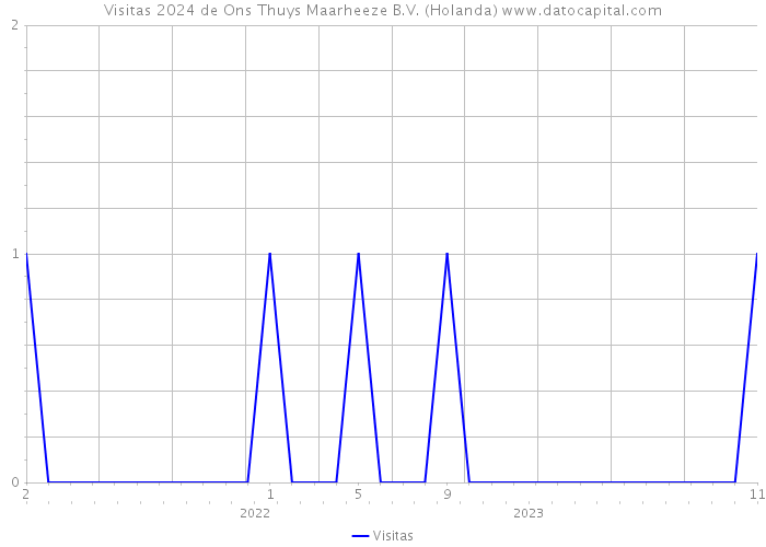 Visitas 2024 de Ons Thuys Maarheeze B.V. (Holanda) 