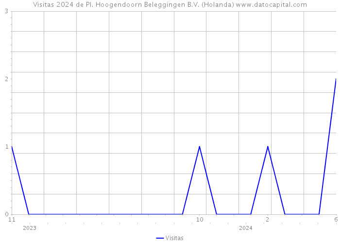 Visitas 2024 de Pl. Hoogendoorn Beleggingen B.V. (Holanda) 