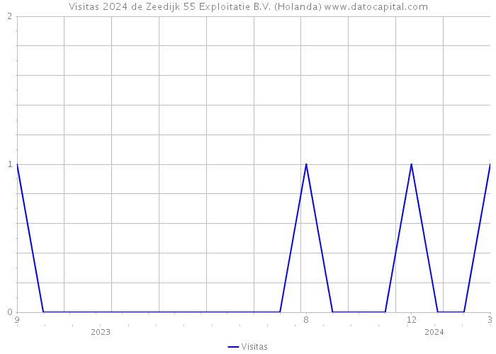 Visitas 2024 de Zeedijk 55 Exploitatie B.V. (Holanda) 