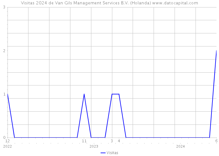 Visitas 2024 de Van Gils Management Services B.V. (Holanda) 