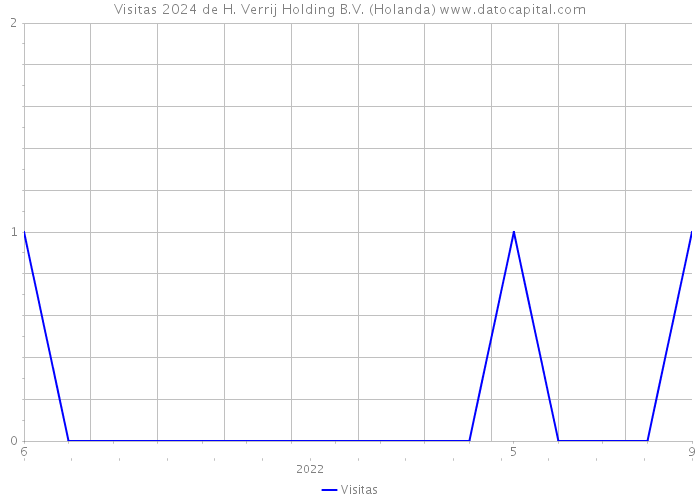 Visitas 2024 de H. Verrij Holding B.V. (Holanda) 