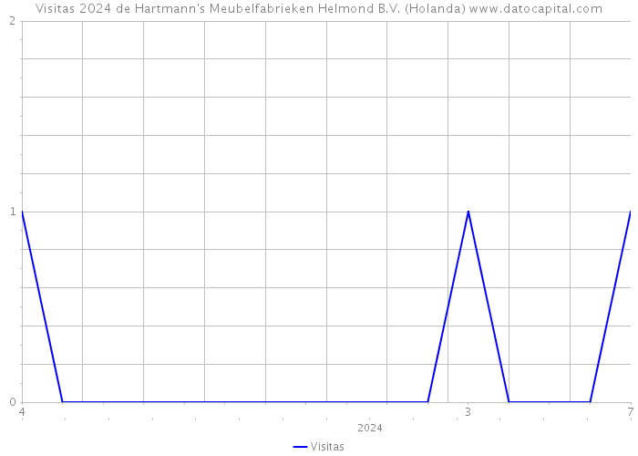 Visitas 2024 de Hartmann's Meubelfabrieken Helmond B.V. (Holanda) 