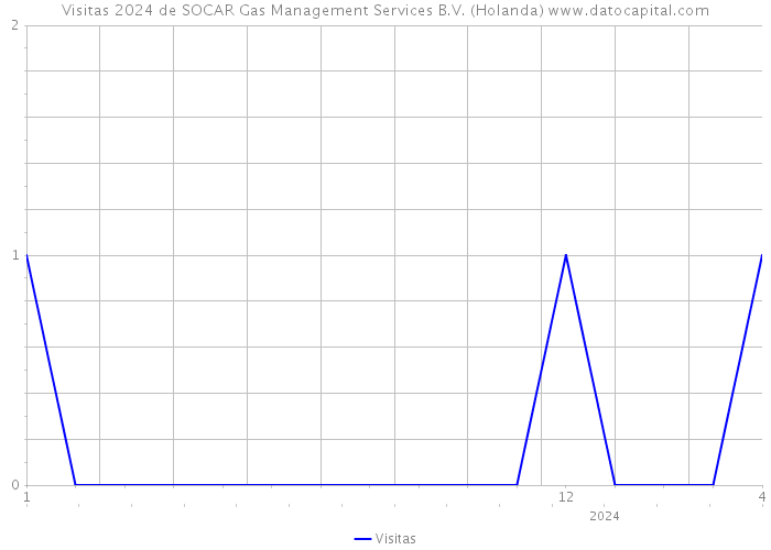 Visitas 2024 de SOCAR Gas Management Services B.V. (Holanda) 