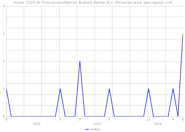 Visitas 2024 de Poetsdoekenfabriek Brabant Beheer B.V. (Holanda) 