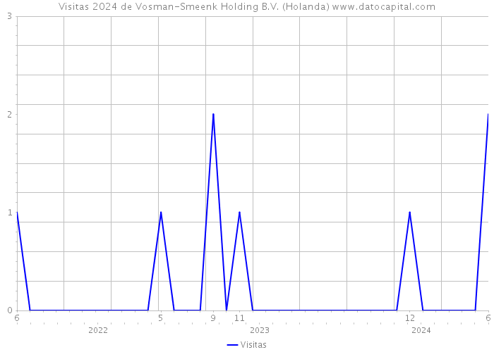 Visitas 2024 de Vosman-Smeenk Holding B.V. (Holanda) 