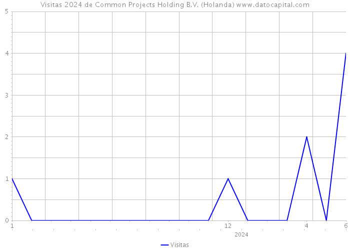 Visitas 2024 de Common Projects Holding B.V. (Holanda) 