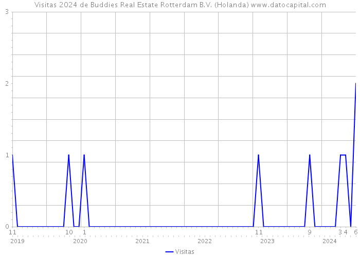 Visitas 2024 de Buddies Real Estate Rotterdam B.V. (Holanda) 