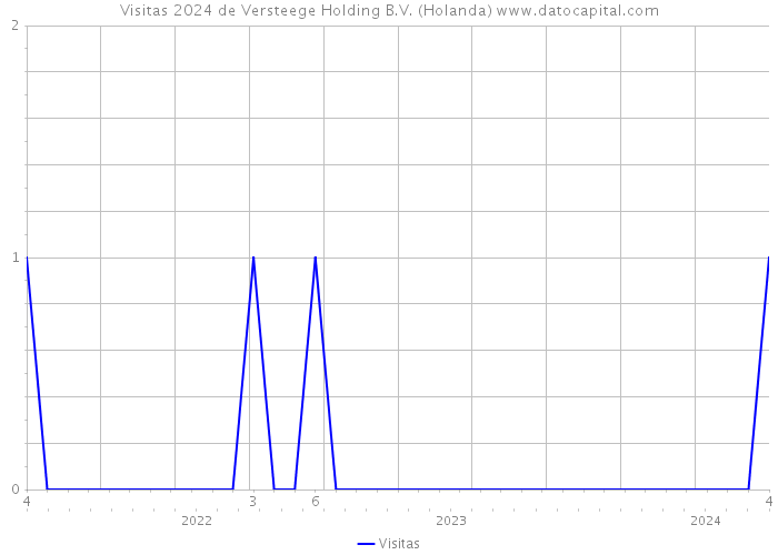 Visitas 2024 de Versteege Holding B.V. (Holanda) 