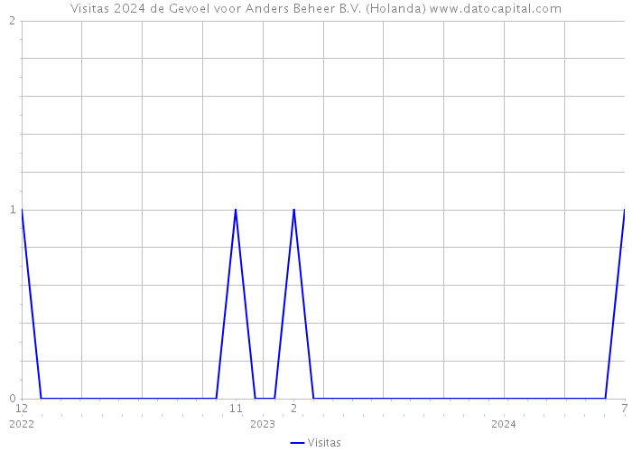 Visitas 2024 de Gevoel voor Anders Beheer B.V. (Holanda) 