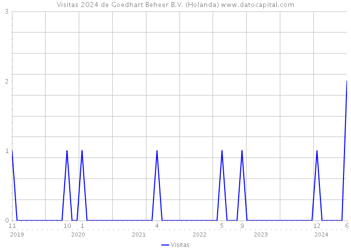 Visitas 2024 de Goedhart Beheer B.V. (Holanda) 