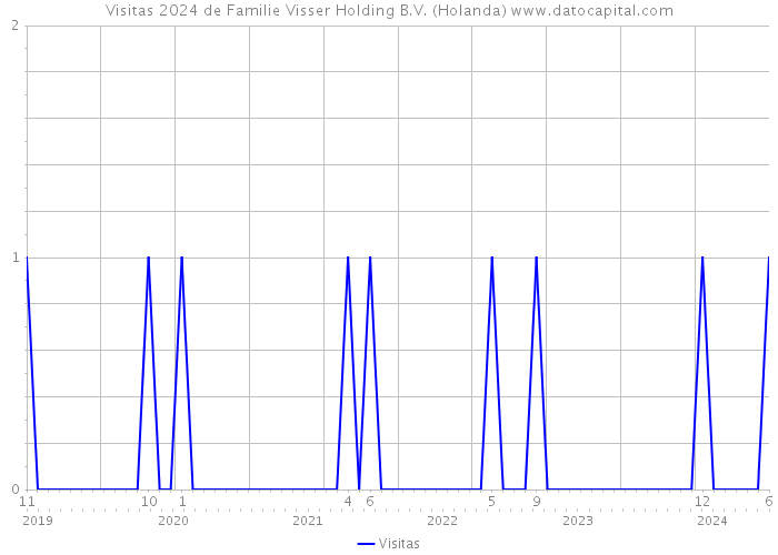 Visitas 2024 de Familie Visser Holding B.V. (Holanda) 